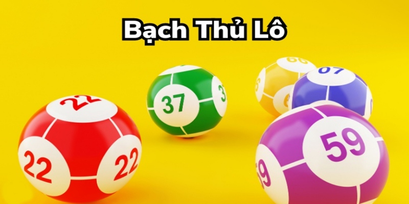 bạch thủ lô