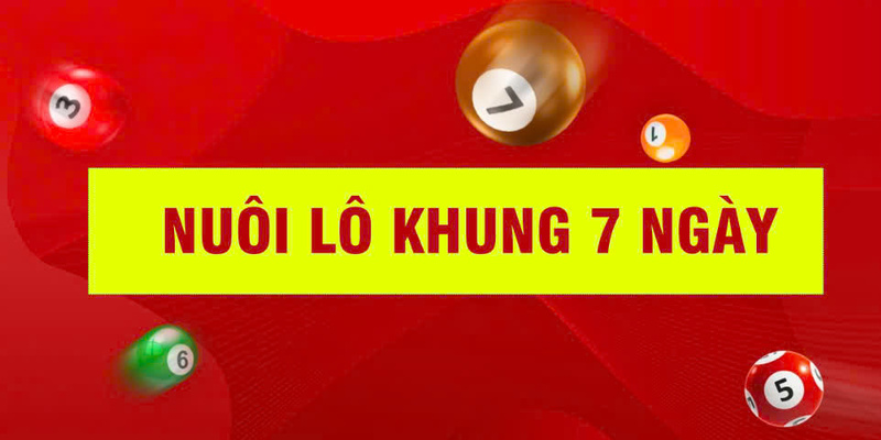 Nuôi Lô Khung 7 Ngày