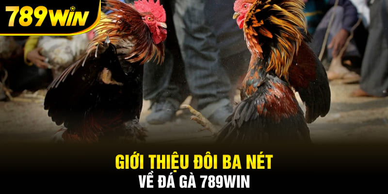 Giới thiệu đôi ba nét về đá gà 789Win